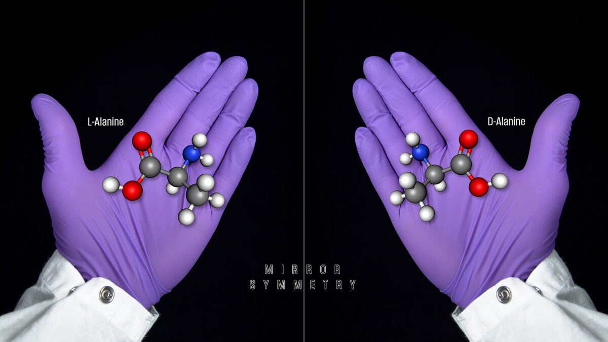 Le Nobel de chimie 2026 récompense une réaction qui fait choisir une main aux molécules