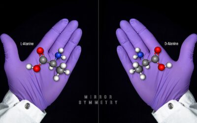 2026年ノーベル化学賞、分子に「片方の手」だけを選ばせる反応に