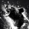 &lsquo;Crazy Bear&rsquo;. Critique du film : une comédie absurde