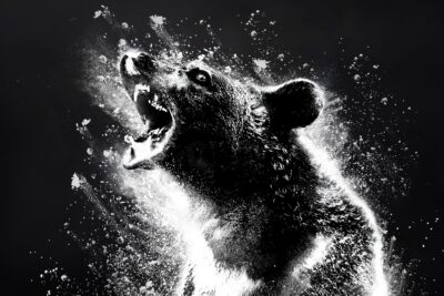&lsquo;Crazy Bear&rsquo;. Critique du film : une comédie absurde