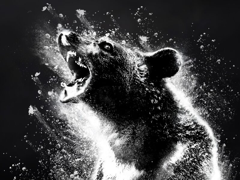 &lsquo;Crazy Bear&rsquo;. Critique du film : une comédie absurde