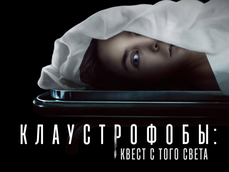 Play Dead: A Chilling Cat-and-Mouse Thriller