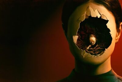 Stopmotion: Ein verstörender Abstieg in den künstlerischen Wahnsinn