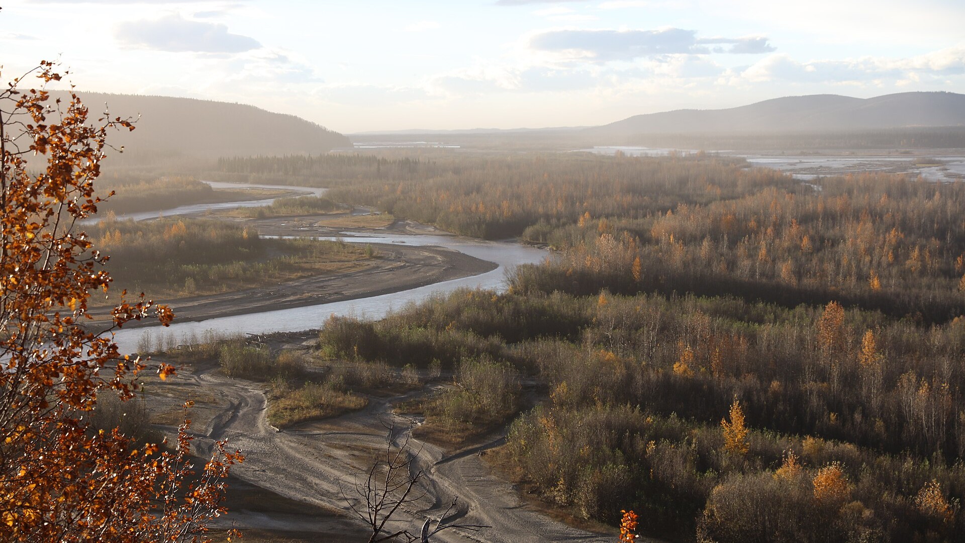 Autumn view from a bluff over the braided Tanana River valley in interior Alaska, with birch forest and low hills