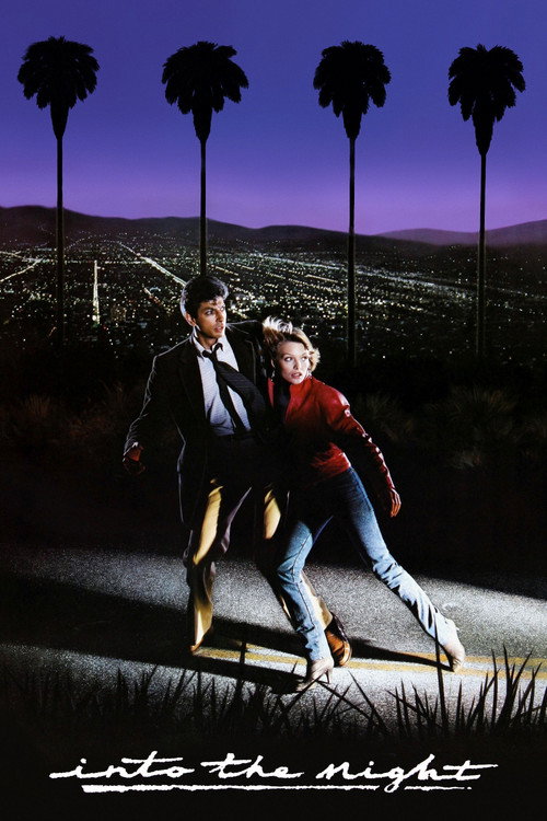 Série noire pour une nuit blanche (1985)