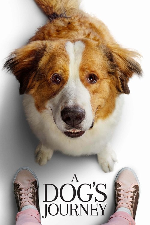 Hành Trình Của Chú Chó Bailey (2019)
