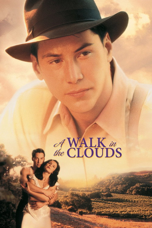 漫步在雲端 (1995)