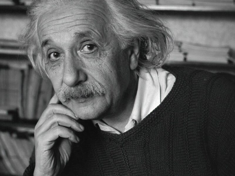《Einstein and the Bomb》, 에이던 맥아들의 섬뜩한 연기가 끌어올린 역사극