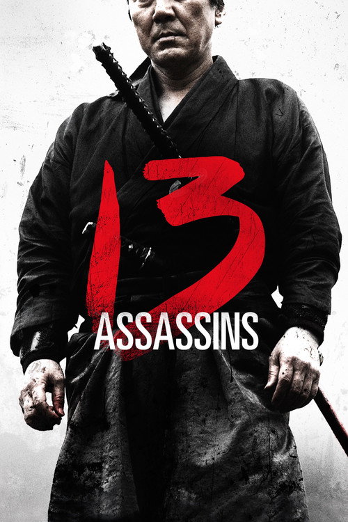 13 Suikastçı (2010)