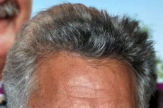 Dustin Hoffman en Paris en el 2013. Wikipedia. Autor: Georges Biard