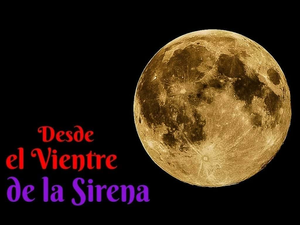 Desde el Vientre de la Sirena. Martin Cid