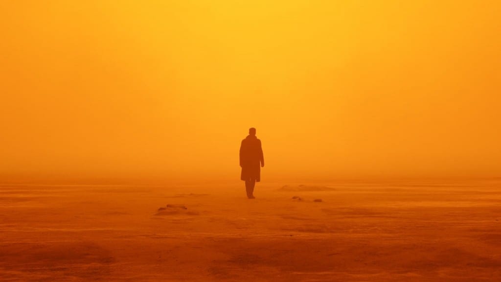 Image from the movie "Blade Runner 2049"