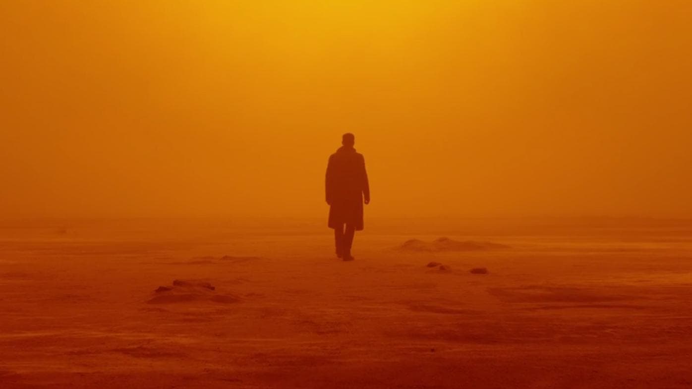 Image from the movie "Blade Runner 2049"