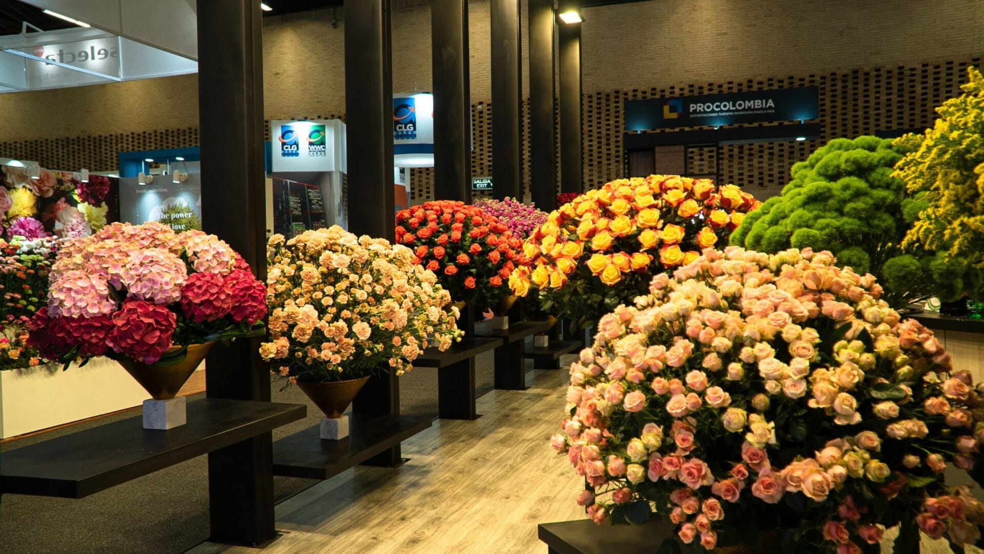 Colombia's preserved flowers brighten Mother's Day