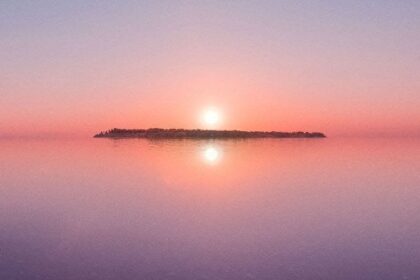 Vallisaari Island skyline, courtesy Helsinki Biennial