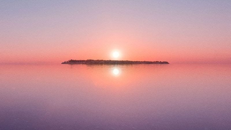 Vallisaari Island skyline, courtesy Helsinki Biennial