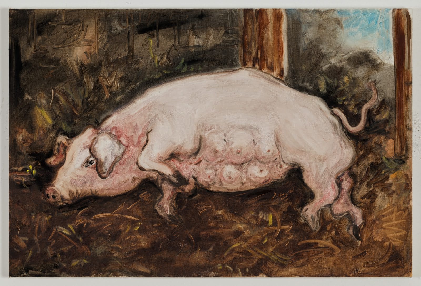 Tanya Merrill, Lying Sow, 2021, oil on linen, 20 x 30 inches, 50.8 x 76.2 cm. Courtesy of the artist and 303 Gallery, New York.