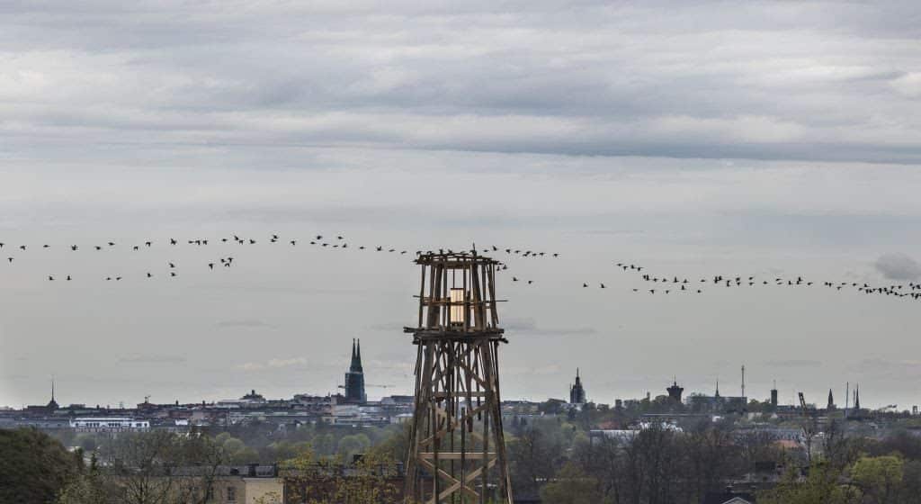 Tadashi Kawamata, Vallisaari Lighthouse, 2021 ©Maija Toivanen/ HAM/ Helsinki Biennial 2021