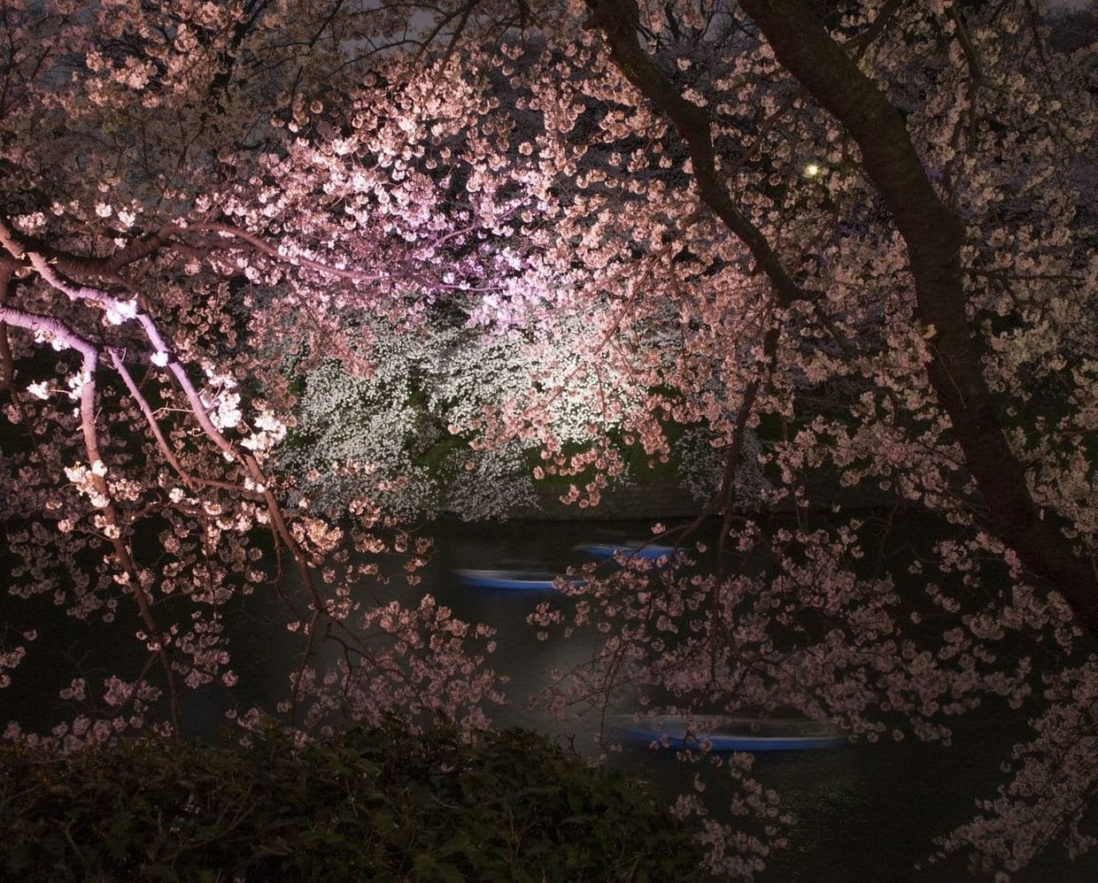 Ori Gersht. Night Fly, 2010, Archival pigment print, 37 7/8h x 47 1/4w in