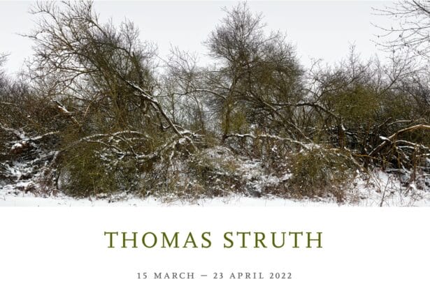 Thomas Struth. Marian Goodman Gallery