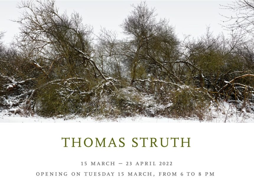 Thomas Struth. Marian Goodman Gallery