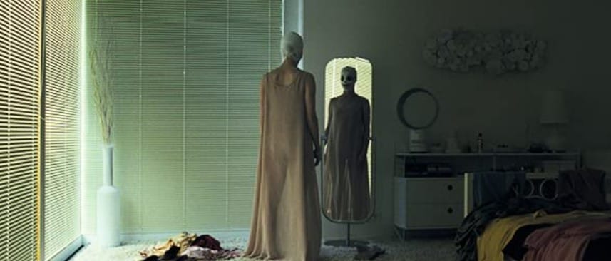 Goodnight Mommy (2014)