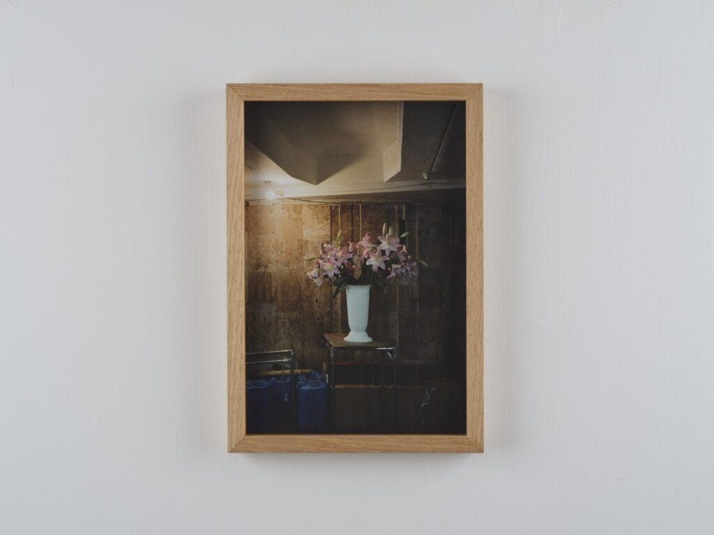 Trevor Yeung, Underground Lilies, 2022 Archival inkjet print, 30 x 20 cm. Image courtesy of artist and Blindspot Gallery.