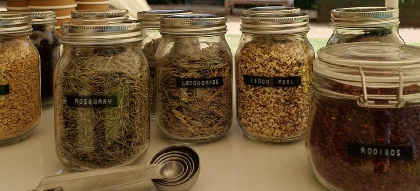 Museum of the Home asks Hackney residents ‘What’s Your Cup of Tea?’ to create bespoke tea blend