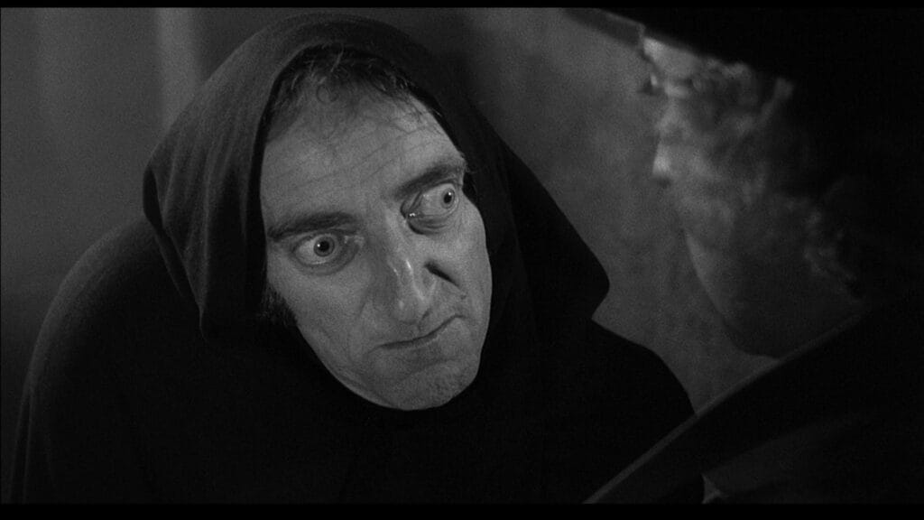 Young Frankenstein, 1974 Movie Reviews