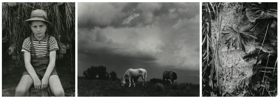 Paul Strand