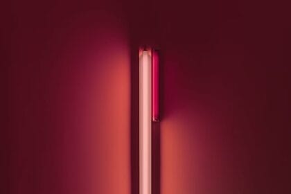 Dan Flavin