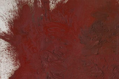 Hermann Nitsch