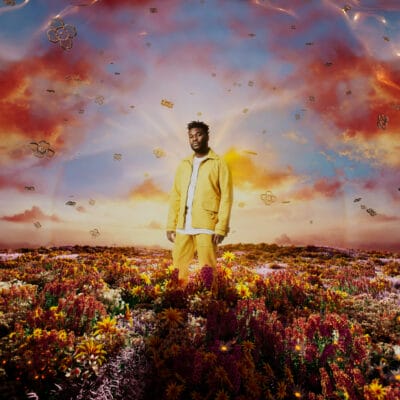 Nonso Amadi When It Blooms