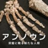 アンノウン: 洞窟に眠る新たな人類