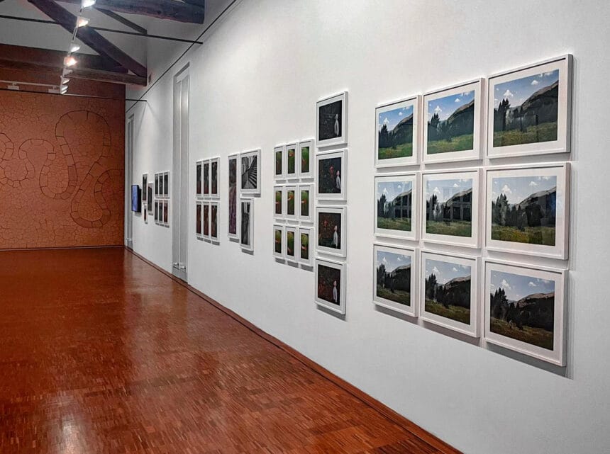 Installation view: Andy Goldsworthy: Retour sur un travail solitaire at the Musée Gassendi, Digne-les-Bains, France, 2023. Courtesy the artist.