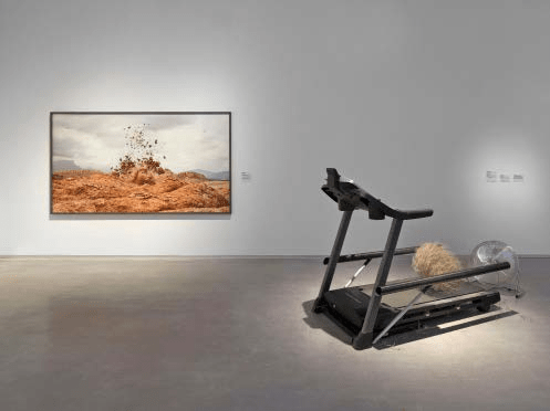 Ausstellungsansicht „Julius von Bismarck. When Platitudes Become Form“, Berlinische Galerie