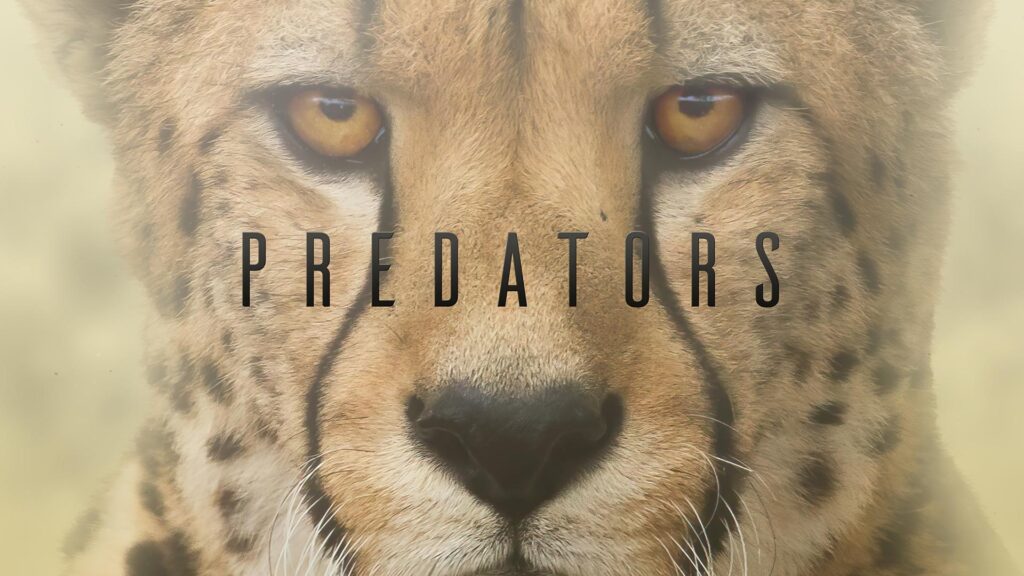 Predators