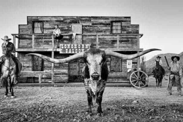 David Yarrow