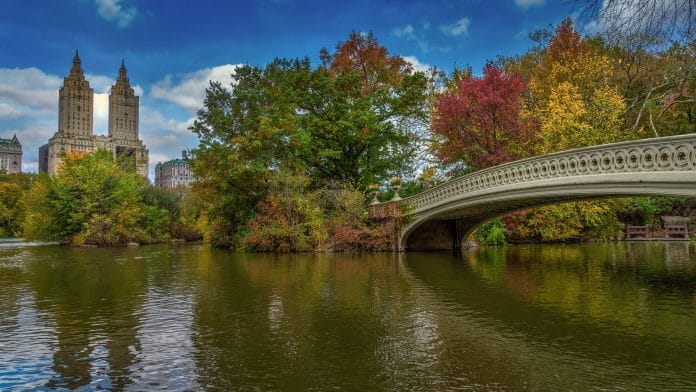 Best Places to Visit in New York Central Park New York