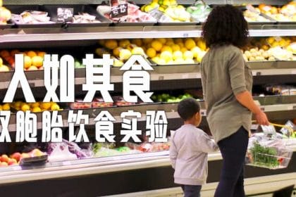 《人如其食：双胞胎饮食实验》