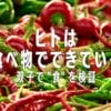 ヒトは食べ物でできている: 双子で食を検証 - Netflix