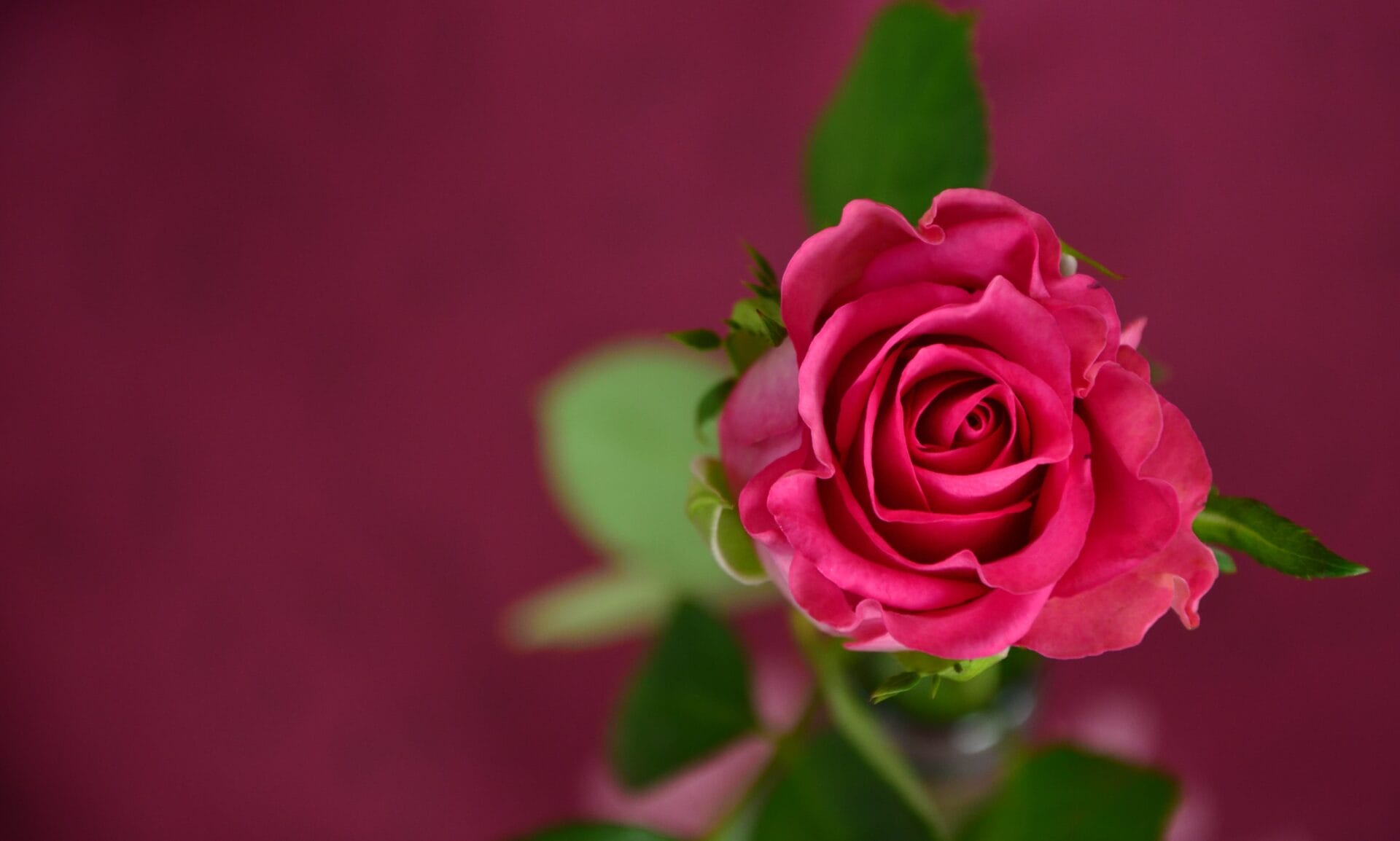 Qui était le véritable Saint Valentin ?