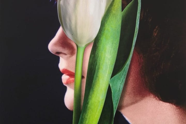 Urs Fischer, White Tulip,