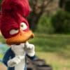 Woody Woodpecker Goes to Camp