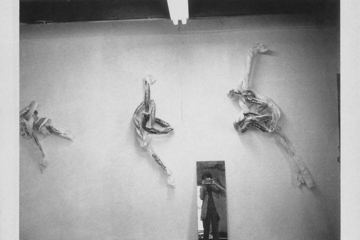 Lynda Benglis