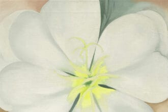 Georgia O’Keeffe White Primrose