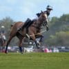 Polo - Netflix