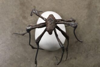 Louise Bourgeois. Spider 2000