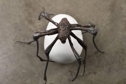 Louise Bourgeois. Spider 2000