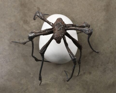 Louise Bourgeois. Spider 2000